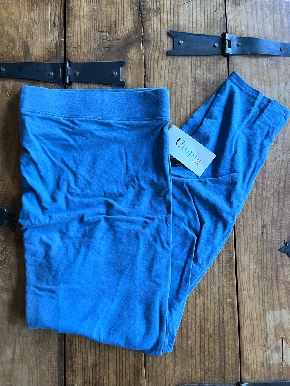 HUE Bright Blue Women's Stretch Leggings